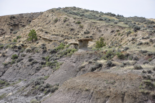 Montana's Makoshika State Park